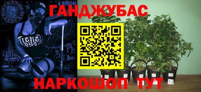 spice Усть-Джегута